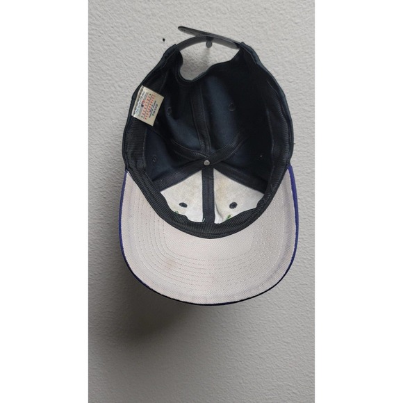 Vtg Twins Enterprise Tampa Bay Devil Rays Snapback Hat - Picture 6 of 8